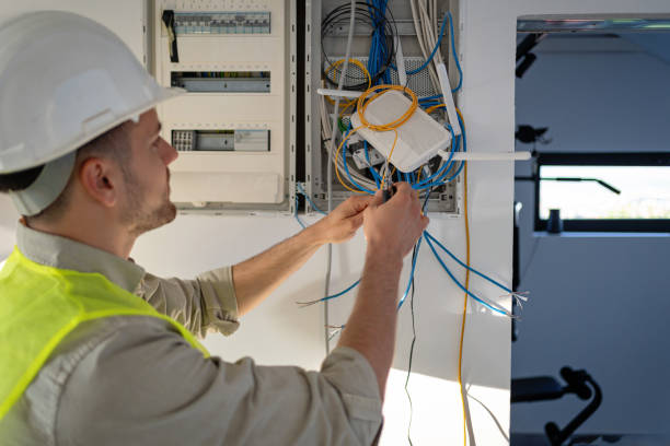 Best Licensed Electrician  in Grant Park, IL